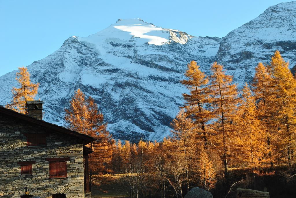 La Joubarde Daire Lanslevillard Dış mekan fotoğraf