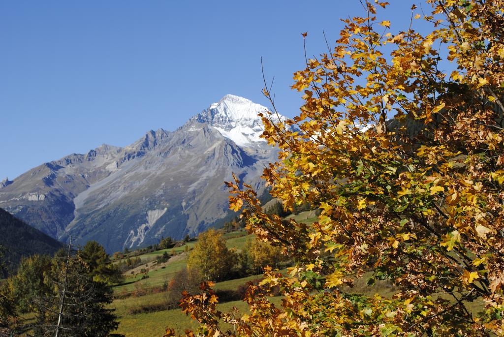 La Joubarde Daire Lanslevillard Dış mekan fotoğraf